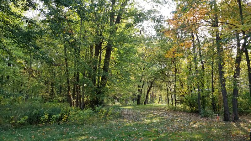 Wawasee Area Conservancy Provides Nature Immersion Through Every Season