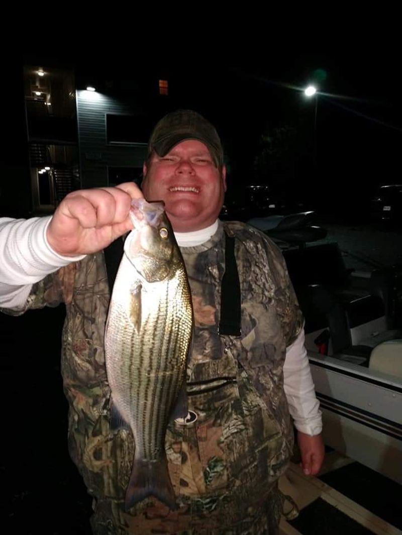 Seafood Shacks Serving Coastal Classics Inland