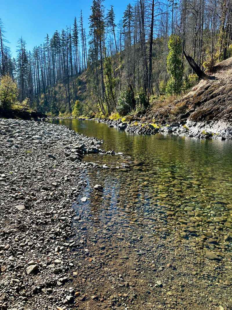 Recovery from Beachie Creek Fire