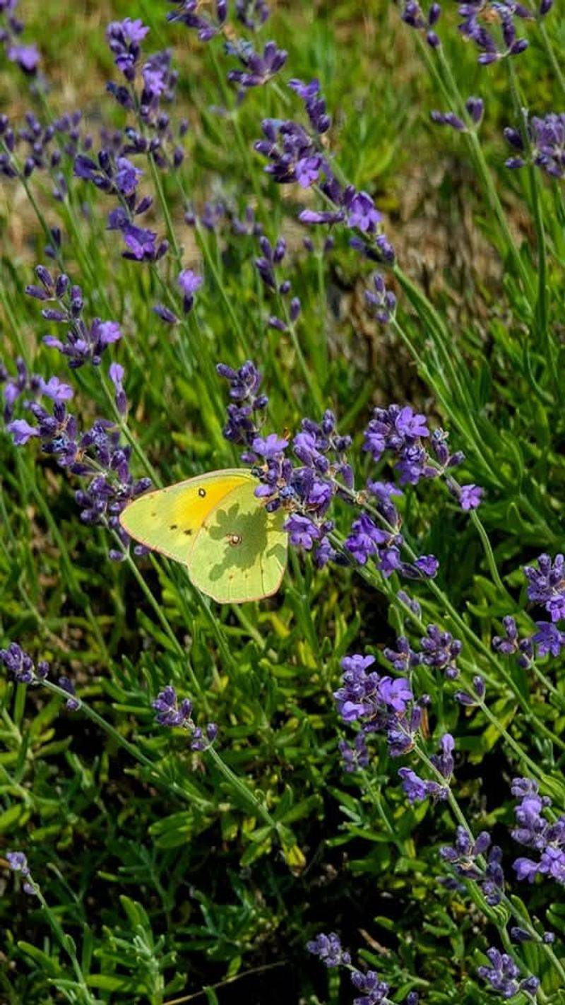 Planning Your Visit to This Oklahoma Treasure