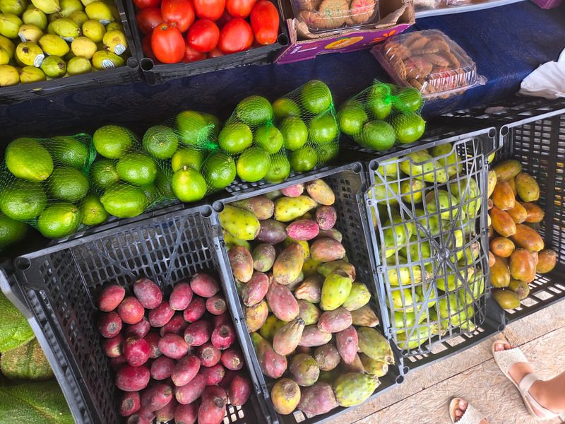 Fresh Produce and Plants That Bring Life Home