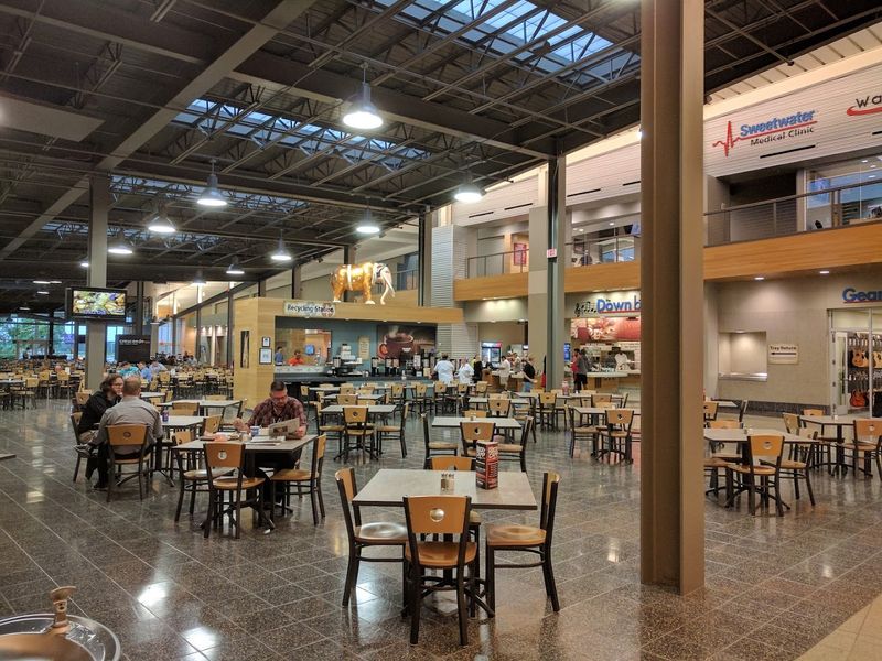 The Cafeteria, Slide, and Family-Friendly Fun