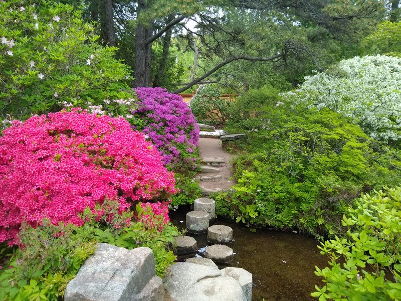 Asticou Azalea Garden