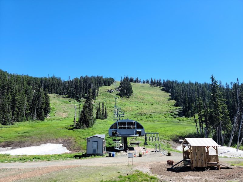 Wildflower Meadows in Full Summer Bloom