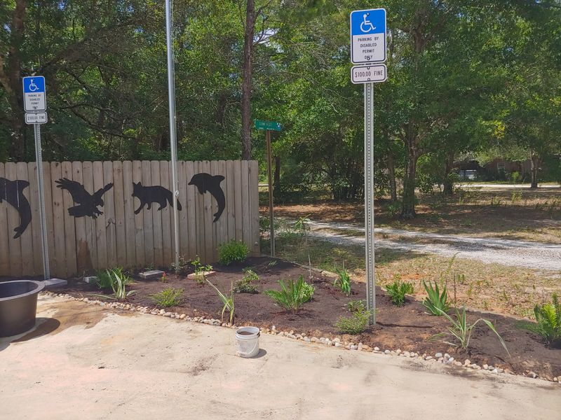 Parking Lot Chaos And Traffic Jams