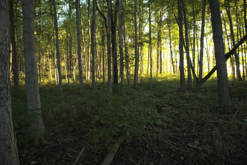 Well-Maintained and Clearly Marked Trail System