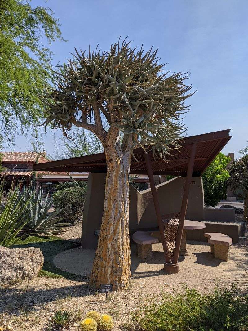 A Midday Reset, Water, Shade, And A Quick Break