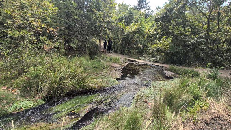 Trail Systems That Suit Every Pace