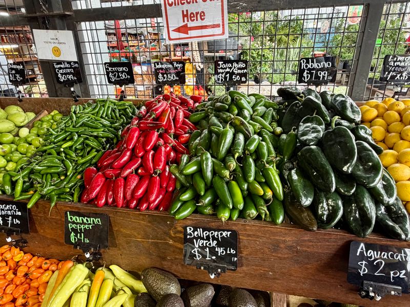 Cash is King, But Options Exist