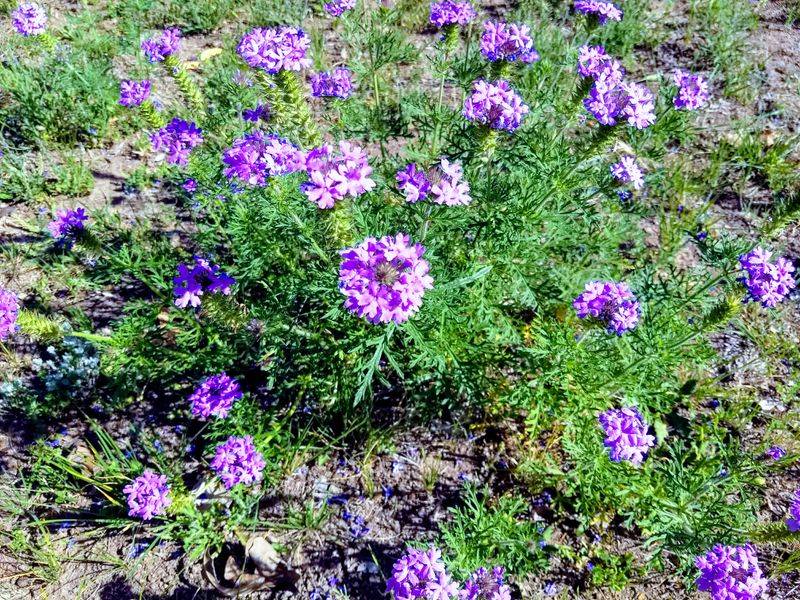 Leakey, Bandera & Utopia