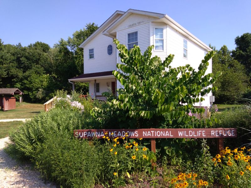 Supawna Meadows National Wildlife Refuge Protects Tidal Wetlands