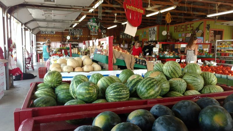 Yellow Watermelon and Seasonal Surprises