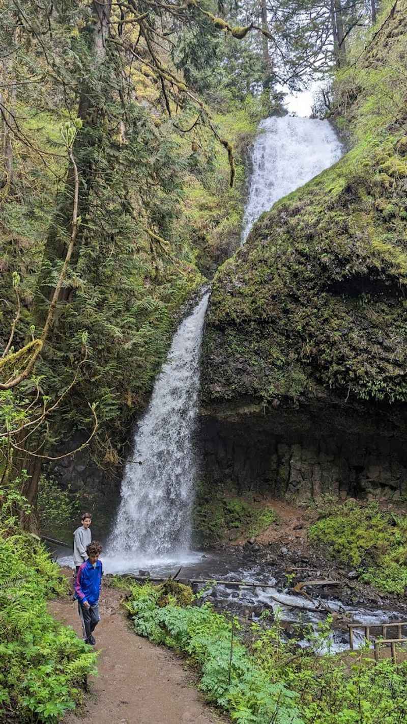 Search and Rescue Operations Multiply