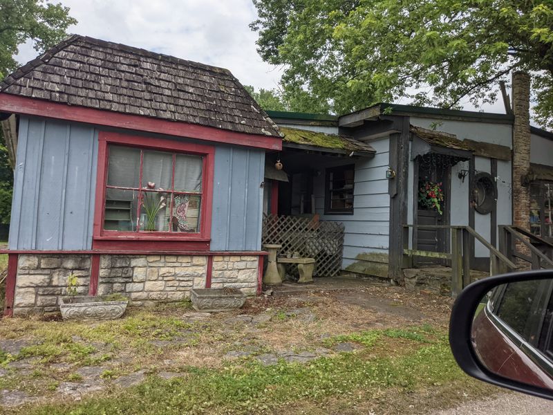 Horse-Drawn Carriages Replace Traffic Jams