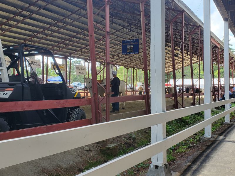 Haunted By Survival, Not Spectacle