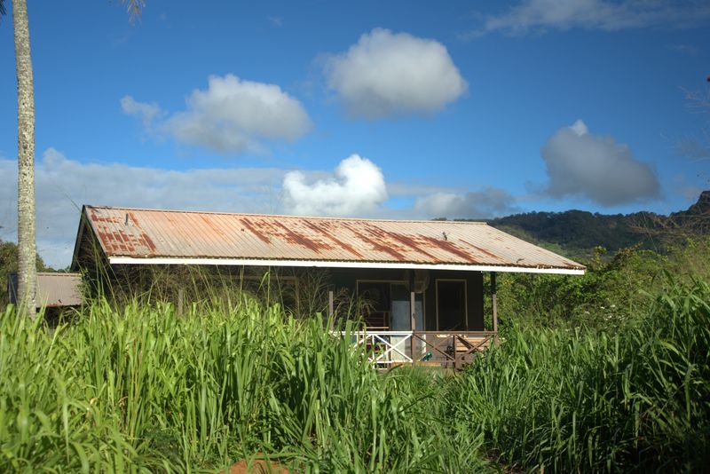 Urban Explorers Are Drawn To This Place