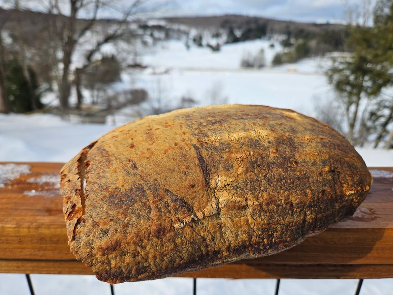 Why The Cold Makes The Smell Stronger Here