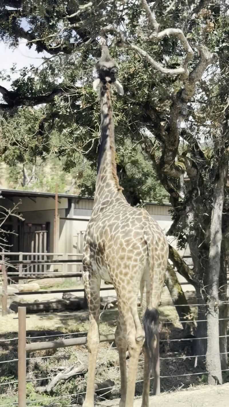 Strong Conservation and Education Mission