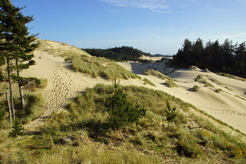 Oregon Dunes National Recreation Area