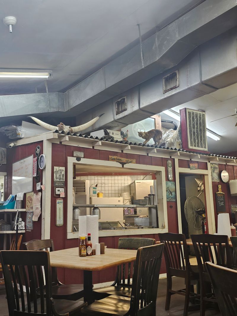 Fish Pond Cafe, Texas