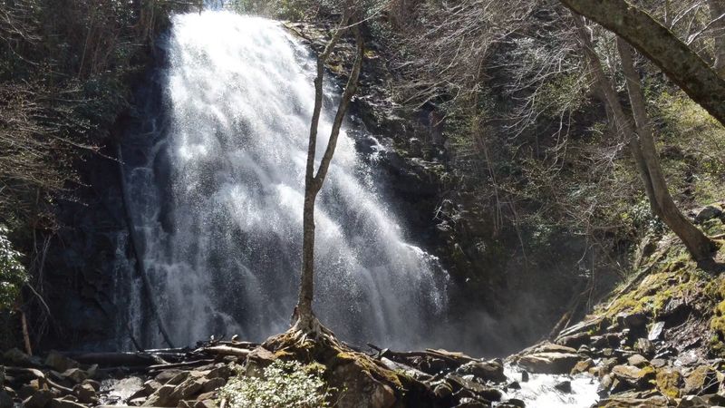 Early Morning Magic Beats Weekend Crowds