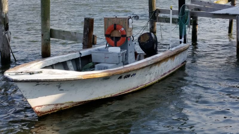 Local Fishing Roots And Working-Water Feel