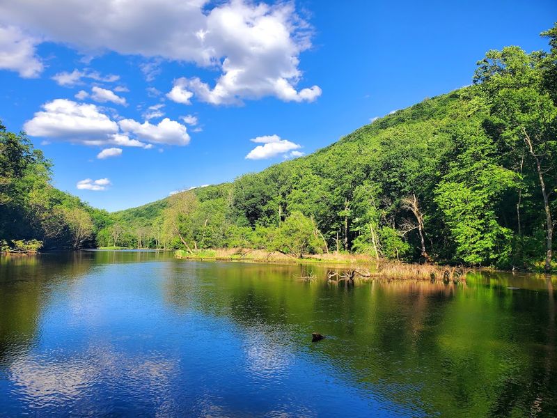 Musconetcong Gorge Trail