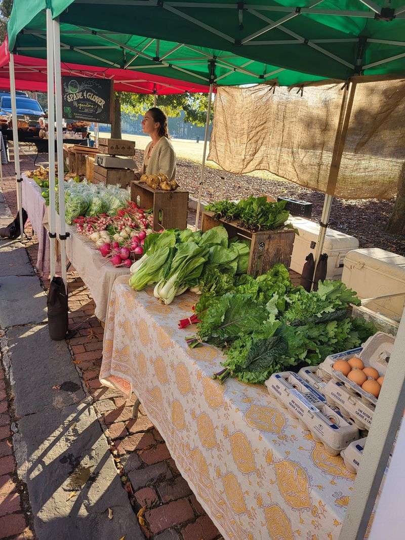 Do A Fast Price Lap Before You Buy Anything