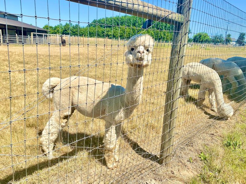 What to Expect When You Arrive: Practical Tips