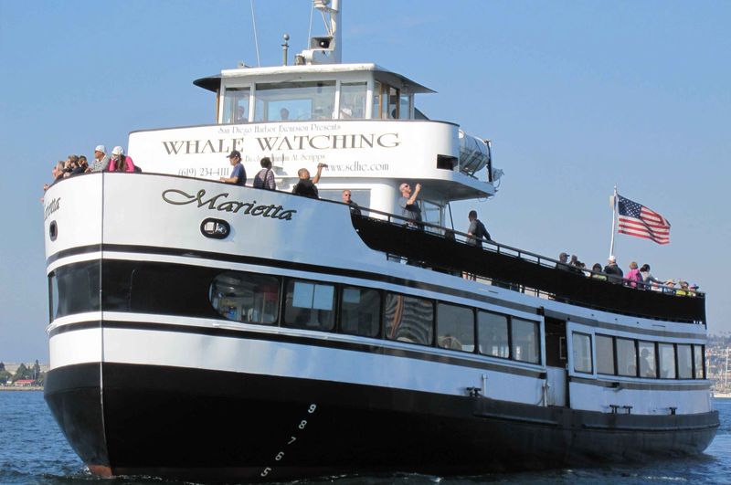 Harbor Areas Absorb Sudden Visitor Surges