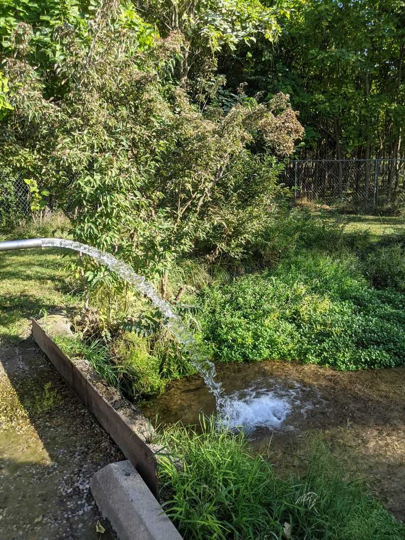 Free as Nature Intended