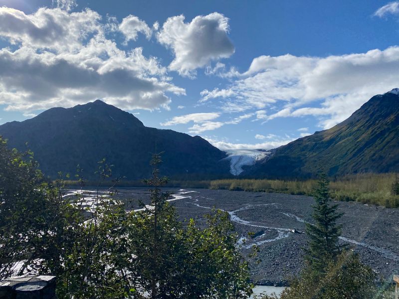 Exit Glacier Trail