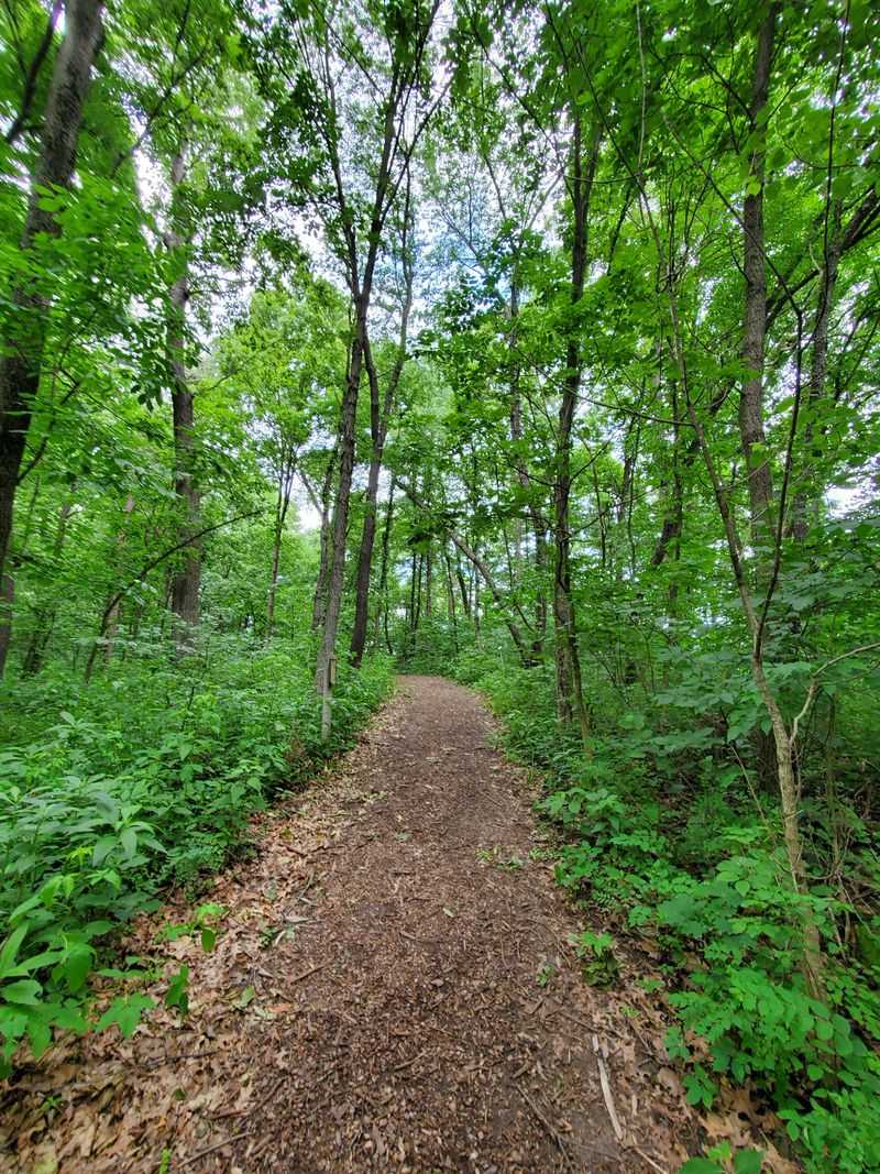 Ballard Nature Center