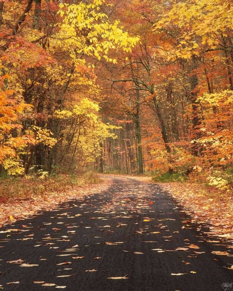 Seasonal Beauty That Changes Everything