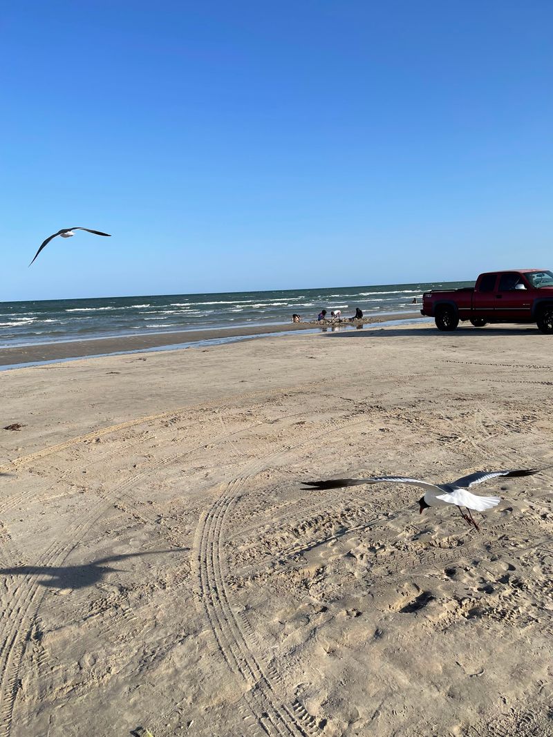 Primitive Beach Camping Brings You Right To The Water's Edge