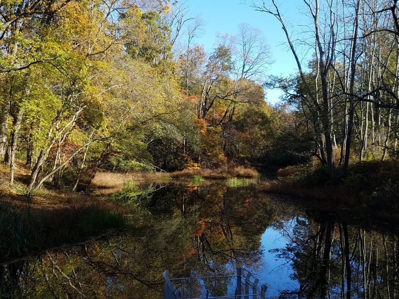 The Manasquan River Provides Peaceful Waterside Scenery