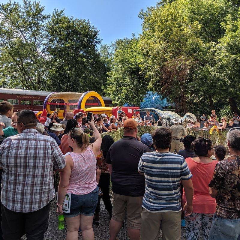 Easter Adventures With Bunnies and Magic