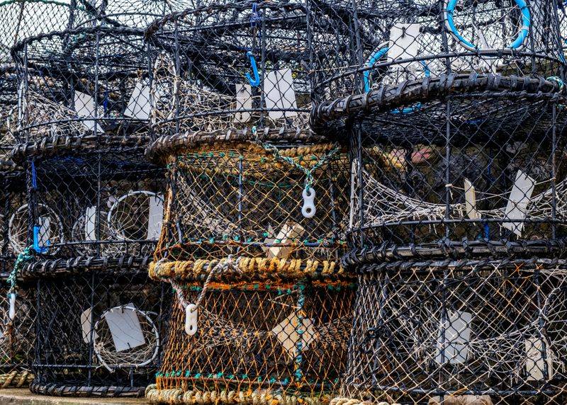 Crab Pots Have Maximum Allowed Dimensions