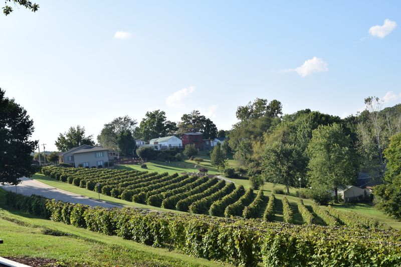 Wine Country Stops That Keep The Day Feeling Light