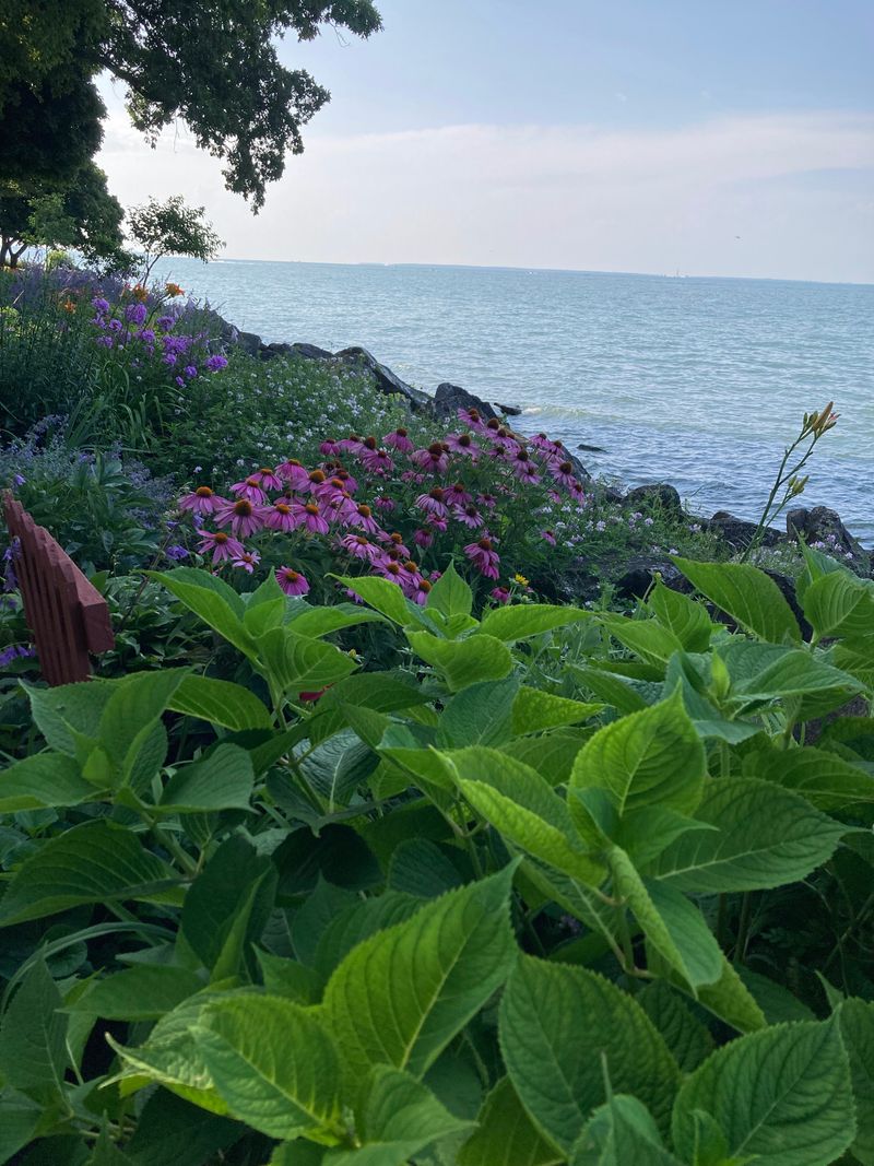 Marblehead Peninsula