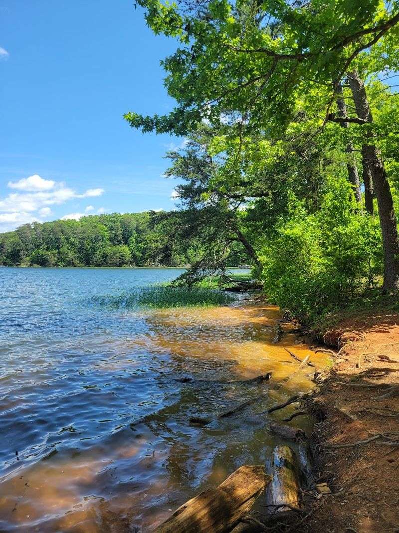 Badin Lake Recreation Area In Uwharrie National Forest 