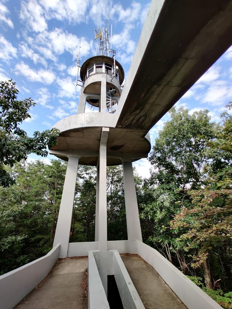 Look Rock Tower (Great Smoky Mountains National Park Area)
