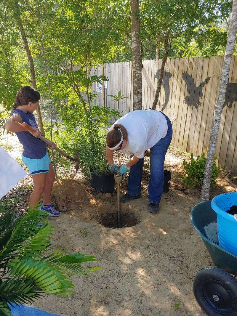 Beach Overcrowding During Peak Season