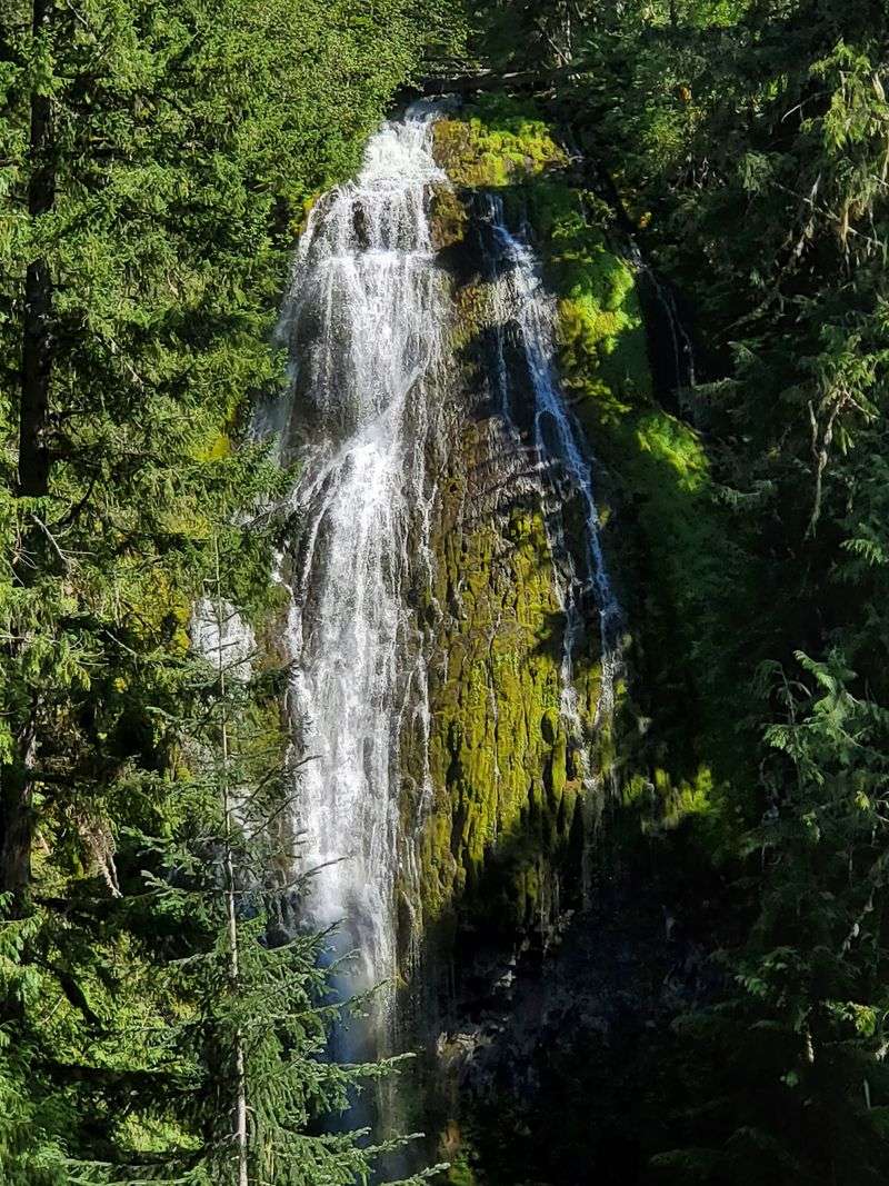 Short Distance, Maximum Reward