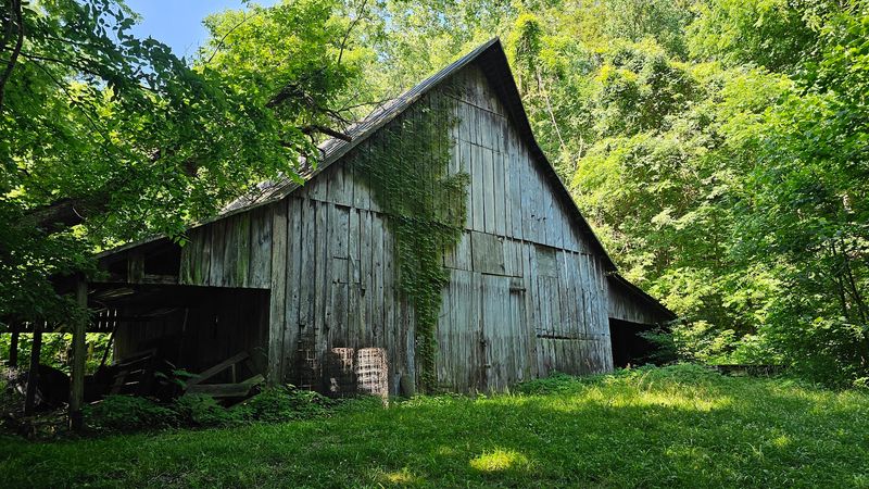 The Historic Town of New Harmony Right Next Door