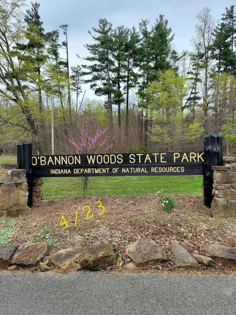 A Nature Center That Genuinely Earns the Title Best in Indiana