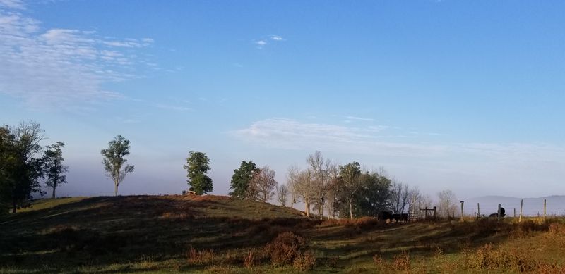 Local Food Scene Celebrates Farm Fresh Philosophy