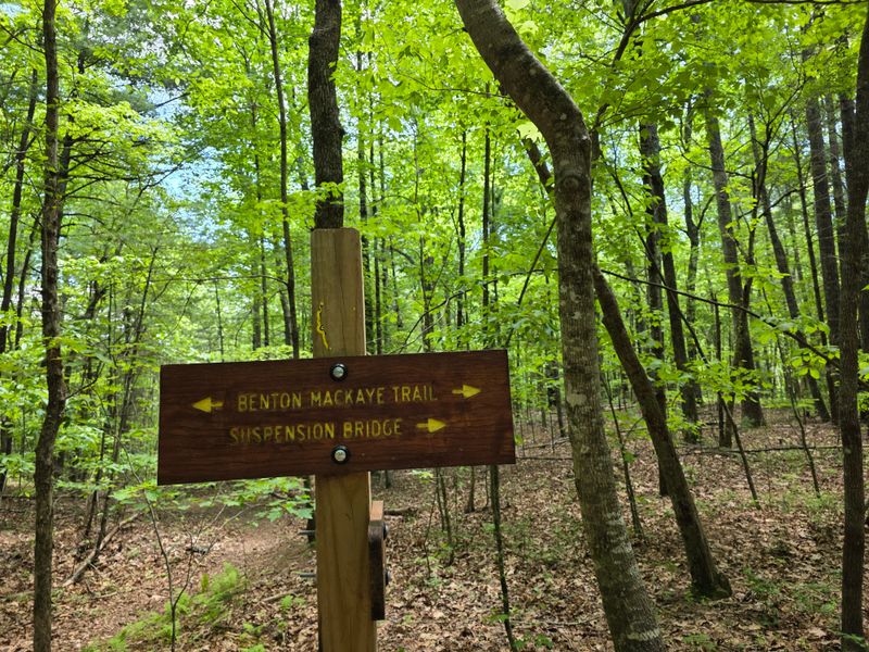 Trails Start Close To Downtown