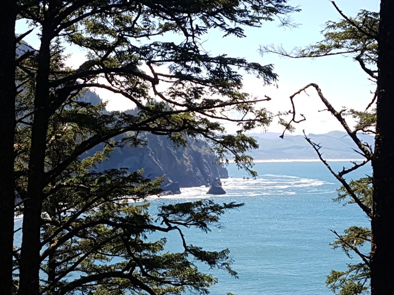 Halfway Ocean Peekaboo Views