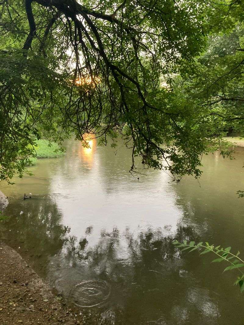 Peaceful Escape from Urban Indiana